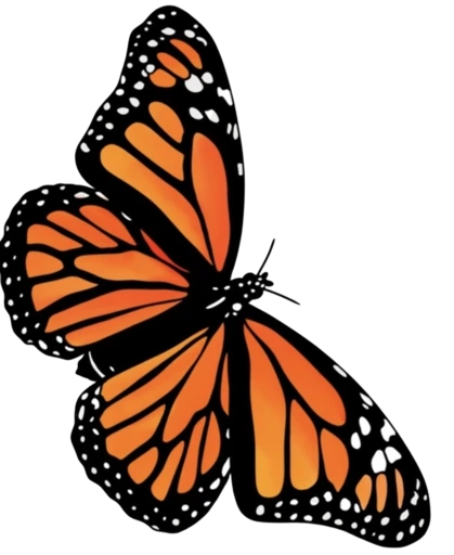 Monarch butterfly mark